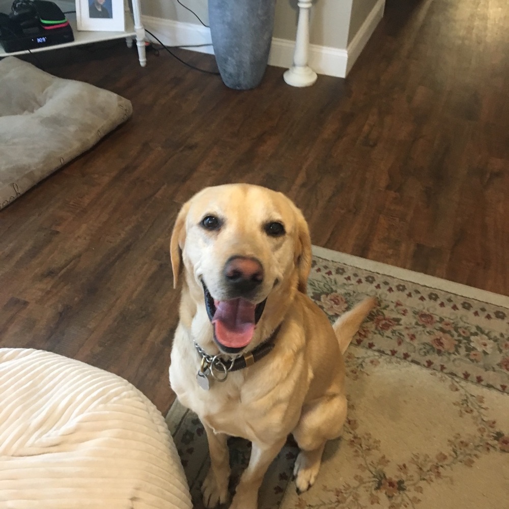 Meet your Posher, Melissa